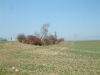 DSCF0164.JPG