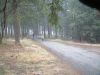 Filename=DSCF0168~1.JPG
Filesize=512KiB
Dimensions=1596x1200
Date added=Jul 04, 2017 DSCF0168~1.JPG