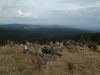 Filename=DSCF0179.JPG
Filesize=281KiB
Dimensions=1596x1200
Date added=Jul 04, 2017 DSCF0179.JPG