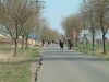 DSCF0180.JPG