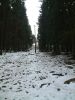 Filename=DSCF0210.JPG
Filesize=321KiB
Dimensions=1200x1596
Date added=May 19, 2016 DSCF0210.JPG