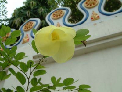 DSCF0003~23.JPG