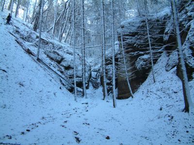 DSCF0006~2.JPG