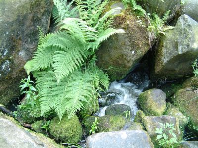 DSCF0008~0.JPG