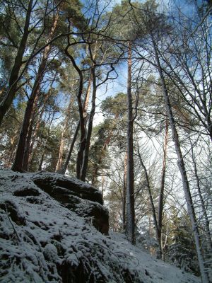 DSCF0011~7.JPG