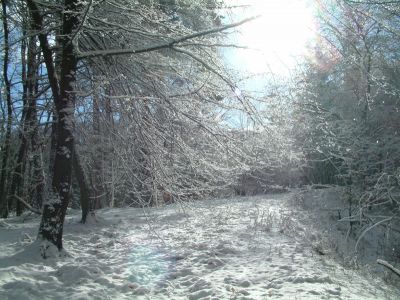 DSCF0012~4.JPG