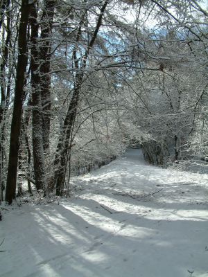 DSCF0014~2.JPG