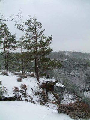 DSCF0014~22.JPG
