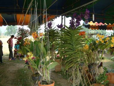 DSCF0015~17.JPG