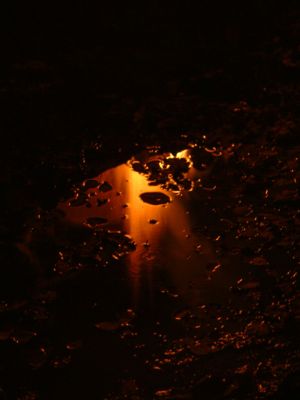 DSCF0017~1.JPG