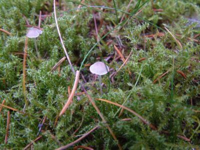 DSCF0019~3.JPG