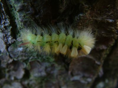 DSCF0019~4.JPG