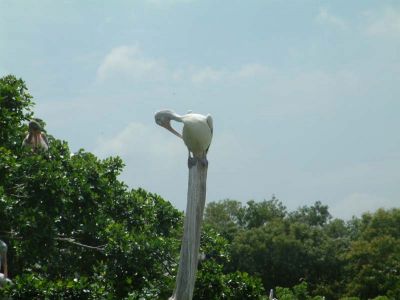 DSCF0021~14.JPG
