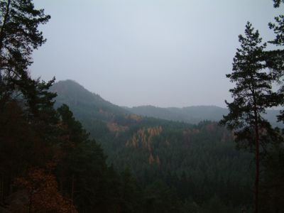 DSCF0023~2.JPG