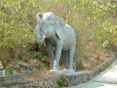 DSCF0023~7.JPG