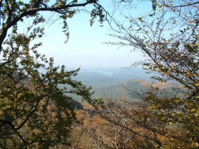 DSCF0025.JPG