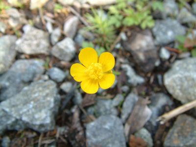 DSCF0026~0.JPG