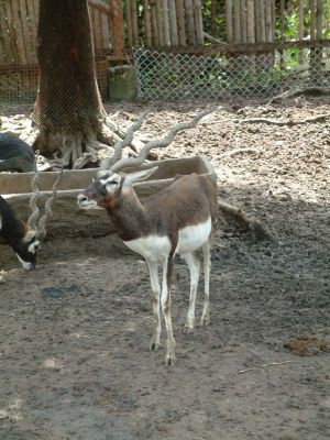 DSCF0026~16.JPG