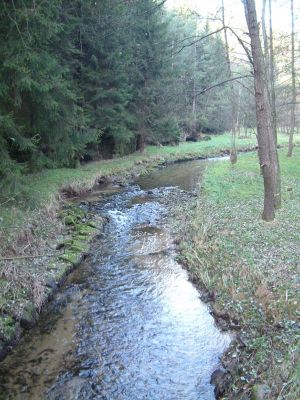 DSCF0028~15.JPG