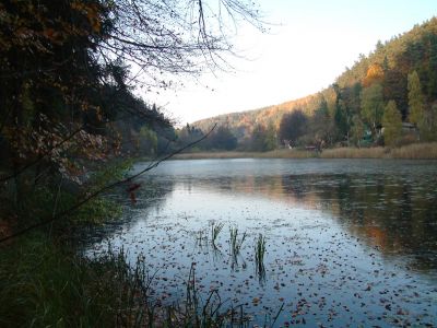 DSCF0037~0.JPG