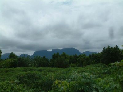 DSCF0037~9.JPG