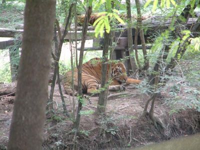 DSCF0046~7.JPG