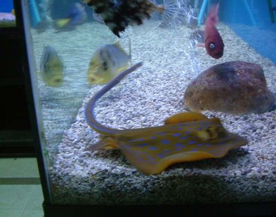 DSCF0061~4.JPG