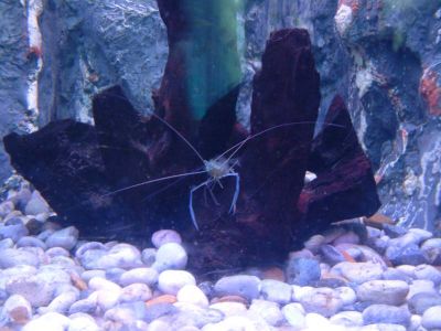 DSCF0069~6.JPG