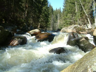 DSCF0070~7.JPG