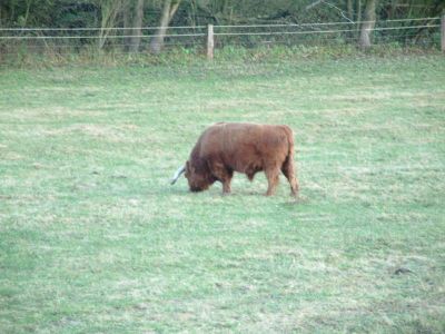 DSCF0075~7.JPG