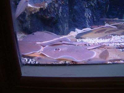 DSCF0076~3.JPG