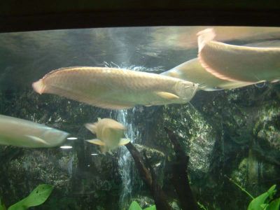 DSCF0078~7.JPG