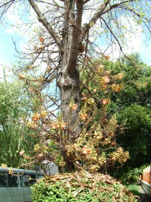 DSCF007~0.JPG