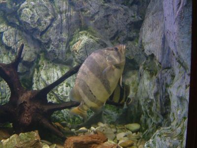 DSCF0088~3.JPG
