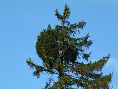 DSCF0089.JPG