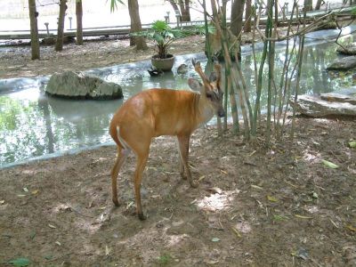 DSCF0098~4.JPG