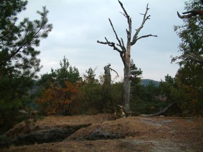 pust hrdek nad Zaknem
