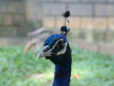 DSCF0115~1.JPG