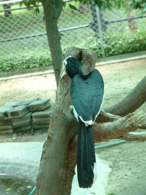 DSCF0128.JPG