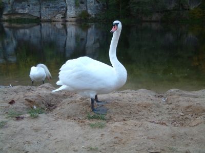 DSCF0143.JPG