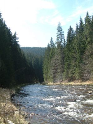 DSCF0154.JPG