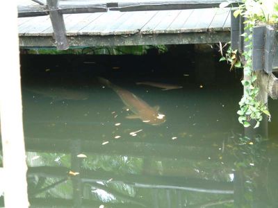 DSCF0191.JPG
