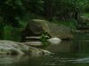Filename=34.JPG
Filesize=228KiB
Dimensions=800x601
Date added=Feb 07, 2006 34.JPG