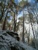 DSCF0011~7.JPG