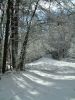 DSCF0014~2.JPG