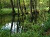 DSCF0015~5.JPG