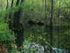 DSCF0016~3.JPG