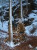 DSCF0027~2.JPG