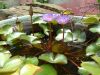 DSCF0032~9.JPG