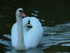 DSCF0039~2.JPG